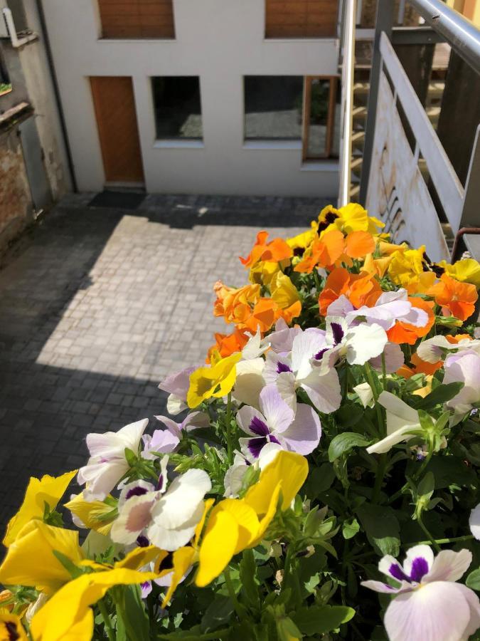 Appartamento Incantevole Con Parcheggio Privato Casteldidone Eksteriør billede